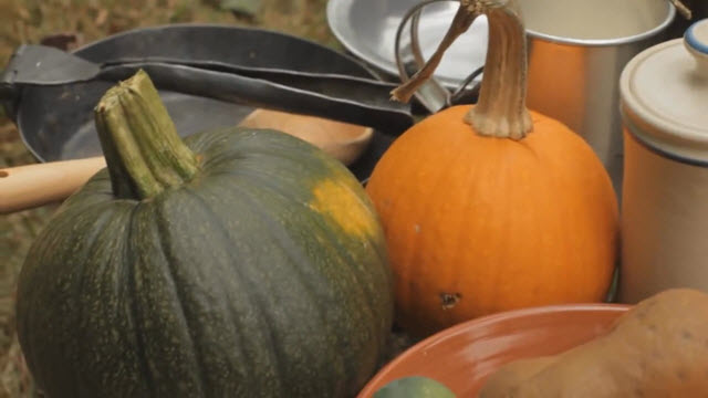 Soldier Pumpkins (Time 0_00_26;12)