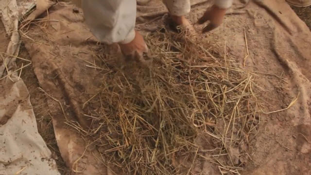 Build Earthen Oven (Time 0_06_48;16)