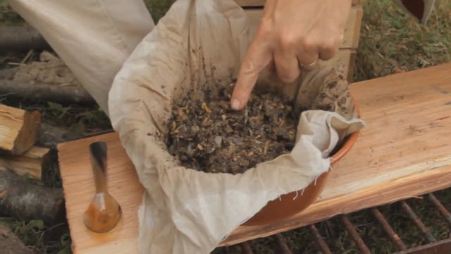 Mushroom Ketchup (Time 0_05_26;12)