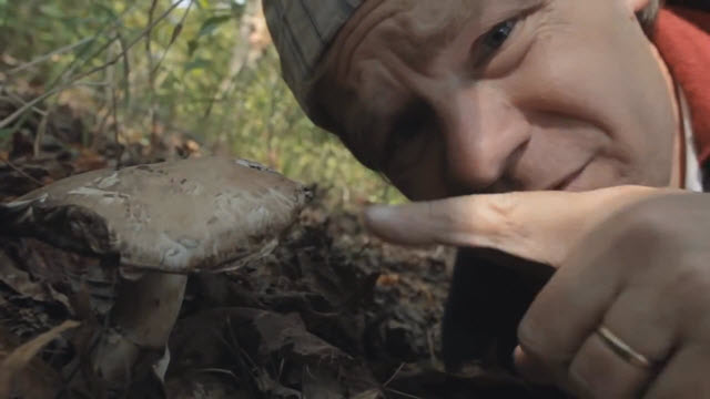 Mushroom Ketchup(Time 0_01_18;26)