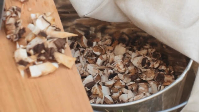 Mushroom Ketchup(Time 0_01_51;20)