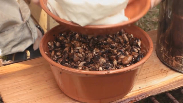 Mushroom Ketchup(Time 0_02_39;25)