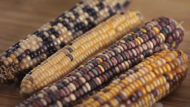 Cornbread (Time 0_01_00;00)