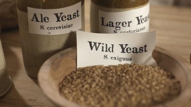 Leaven (Time 0_02_18;29)