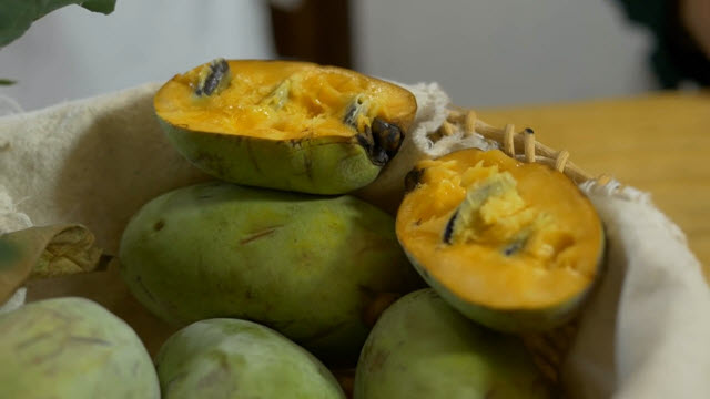 paw-paw-pudding-time-0_03_5103